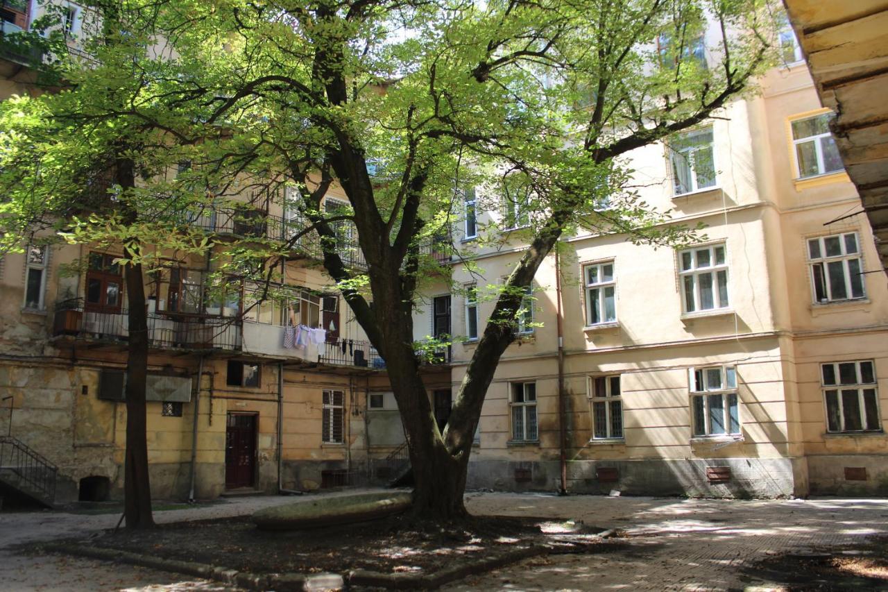 Квартира В Центрі Львова Екстериор снимка